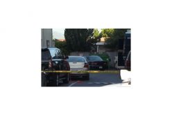 Suspect wanted in car theft shot and killed by police