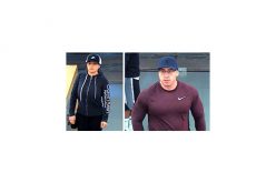 Have you seen these two thieves?