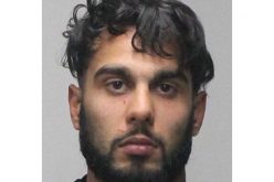 Motorcyclist evades officers for 24 miles, Taser and K-9 finally stop him