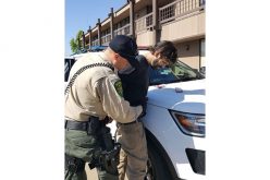 Unconscious Man In Vehicle Awakens and Flees and Hides in Tree