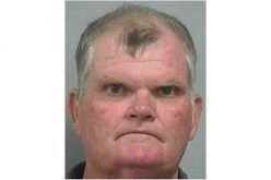 Cockfighting ring busted, all 224 birds seized