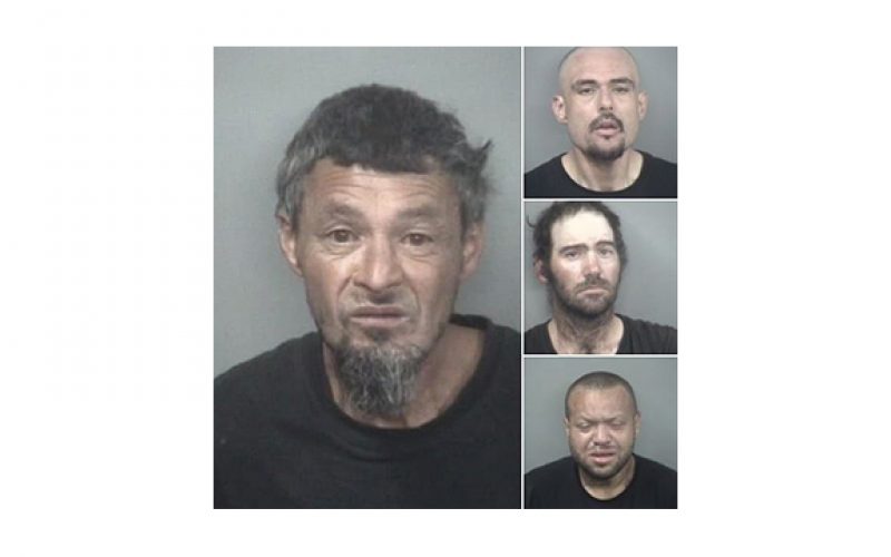 Chico PD Street Crimes Unit arrests 15 in one week