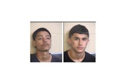 Three Teens Arrested for Avocado Lake Stabbing