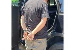 Looking into cars on Dandelion Drive and Lollipop Lane