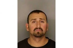 Driver in fatal hit and run arested within the hour