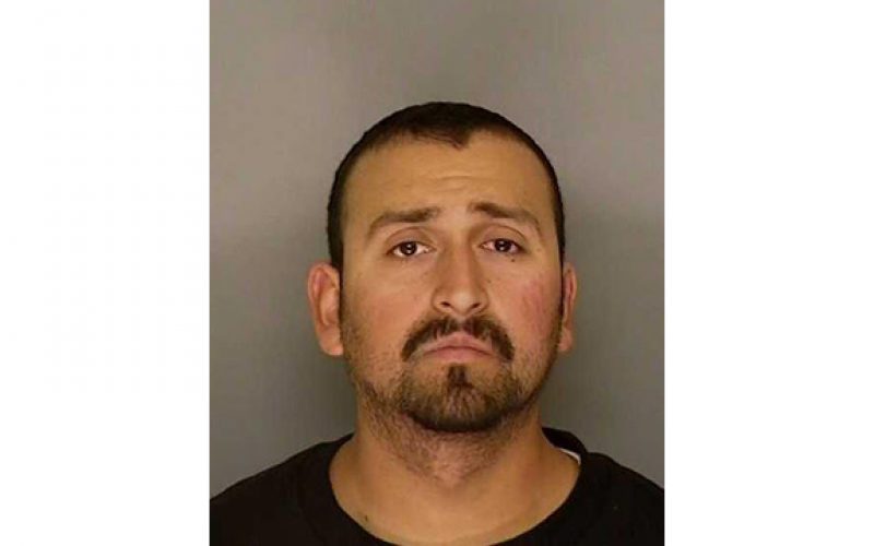 Driver in fatal hit and run arested within the hour