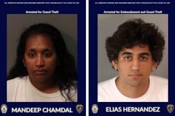 Target scammers steal $100,000 worth of merchandise