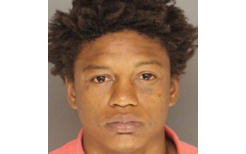 Isla Vista Hit-and-Run Suspect Surrenders the Next Day