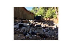 Illegal grow site with numerous HAZMAT violations