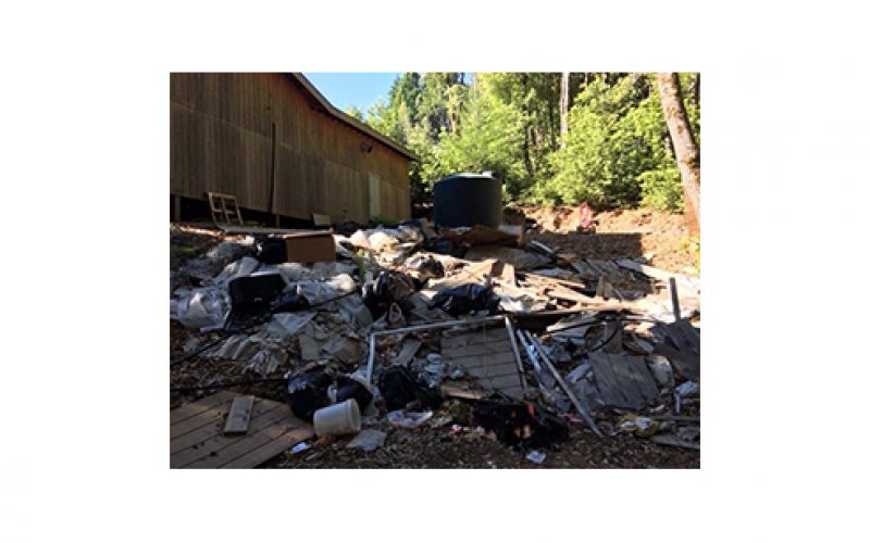 Illegal grow site with numerous HAZMAT violations