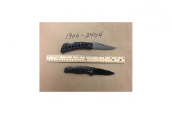 Petty Thieves Up Their Game with Arrests for Armed Robbery