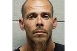 Stolen multi-colored camper van easy for officer to spot