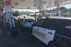 Pair steals wallet & makes purchases with stolen credit cards