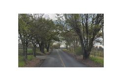 Slow speed pursuit and less lethal methods used to nab wanted suspect