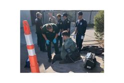 Robbery Suspect Nabbed During National Night Out Community Event