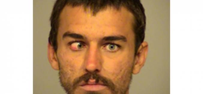 Flag on the Play for Punting Dog