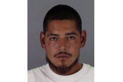 Half Moon Bay man arrested in unprovoked tree branch attack