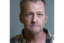 Ex-felon arrested for the shooting of two dogs