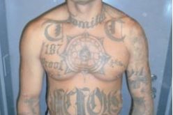 Chowchilla Residential Burglar Arrested