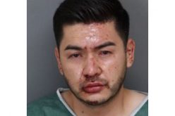 Bicyclist Dies After Being Hit By Car in Ontario, Suspect Detained