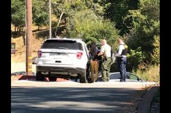 Marin County burglary suspect arrested after being caught on video