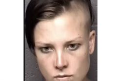 ‘Strange vehicle’ turns out to be stolen