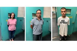 Redding Police: Felony warrant prompts search, discovery of guns, drugs