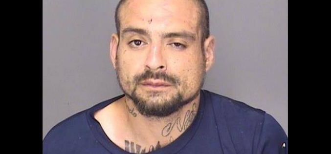 Merced County K9 officer Edo chases down wanted felon