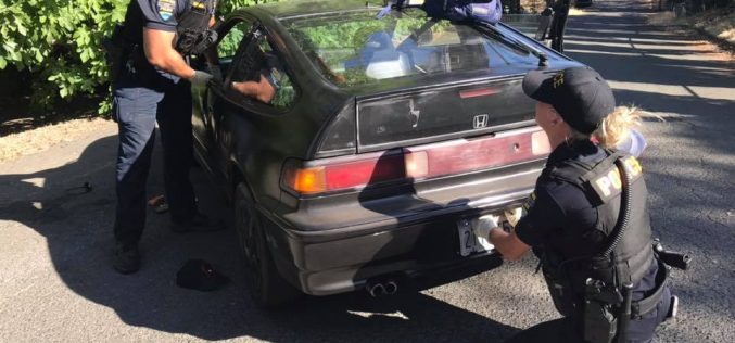 Clearlake Police: Stolen vehicle suspect spray painted car to avoid attention