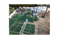 Five Illegal grow sites busted in four days