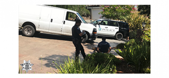 Amazon delivery driver helps himself to $10,000 worth of goods