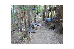 Ecologically Unfriendly Illegal Marijuana Grow Site On Public Lands