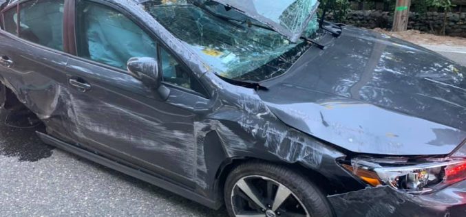 Man arrested after DUI collision at Park Woods