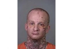 Escaped parolee spotted, later caught