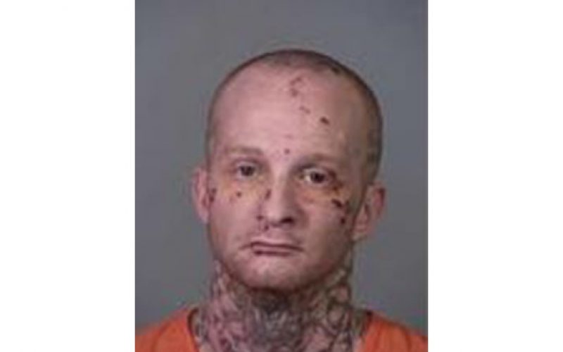 Escaped parolee spotted, later caught