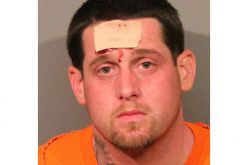 Marijuana thief gets arrested with violent reluctance