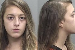 Mendocino County woman arrested after traffic stop turns violent