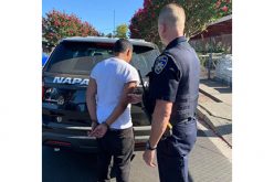 Thieving juvenile evades police the first two times
