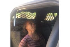 Merced Sheriff: Astute K-9 tracks domestic violence suspect to chicken coop