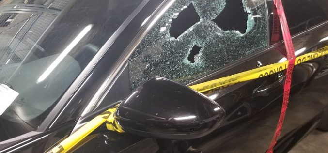 Berkeley man faces attempted murder charge in Novato shooting