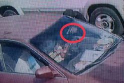 Felony robbery suspect arrested after being caught on surveillance camera