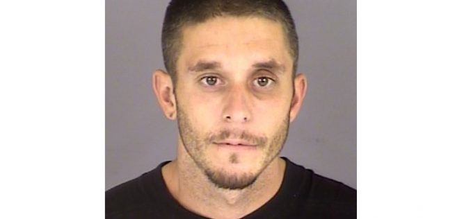 Escalon man faces felony hit-and-run charges after chaotic pursuit