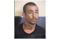 Marijuana Thieves Duped by Hemp