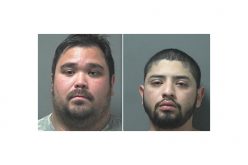 $50,000 worth of cheese stolen over two years