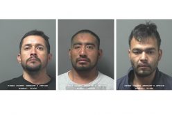 Suspects stole hemp plants thinking it was weed, led deputies on 100 MPH chase