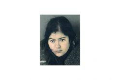 Woman booked for DUI, hit and run, child endangerment, assault on officer