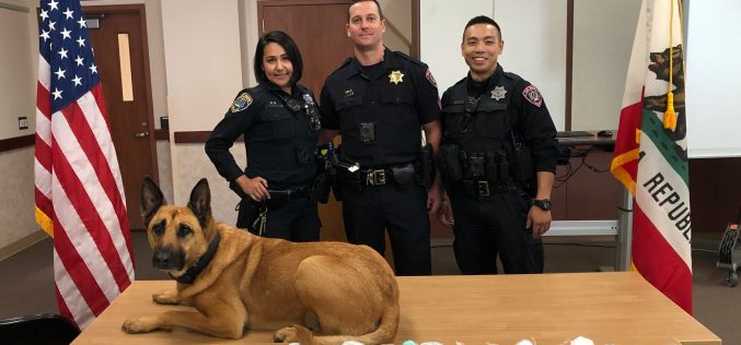 San Mateo man caught with almost 23 pounds of meth