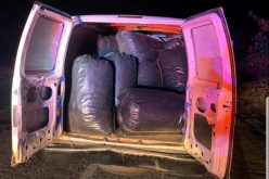 Corning PD confiscates 400 pounds of marijuana