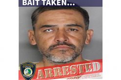 Bait taken again in Sacramento