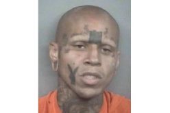 Burglary suspect foiled by business’ employees